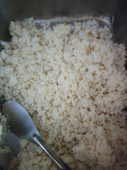 燕麥飯
