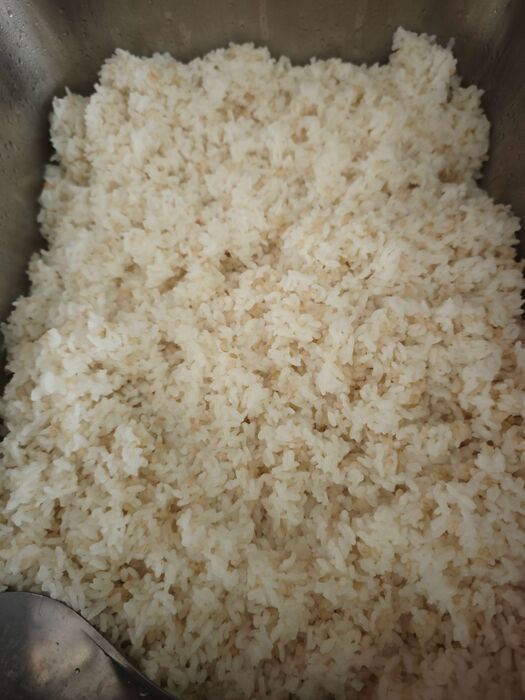糙米飯