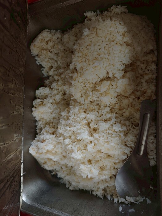 糙米飯圖片