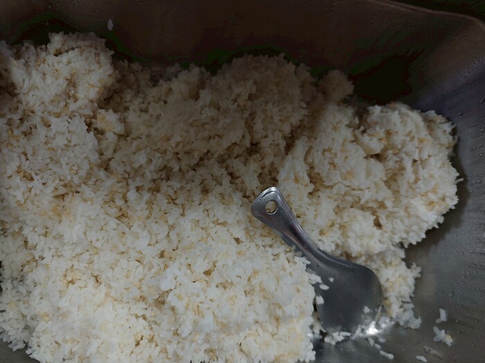 糙米飯圖片