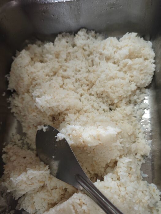糙米飯
