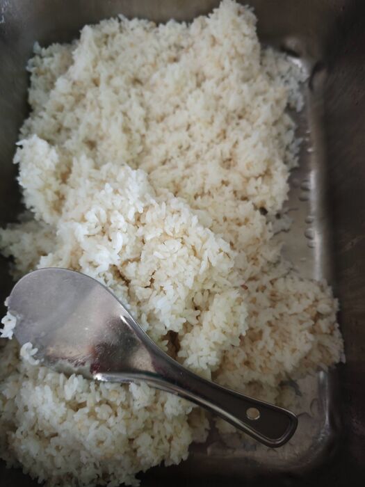 糙米飯