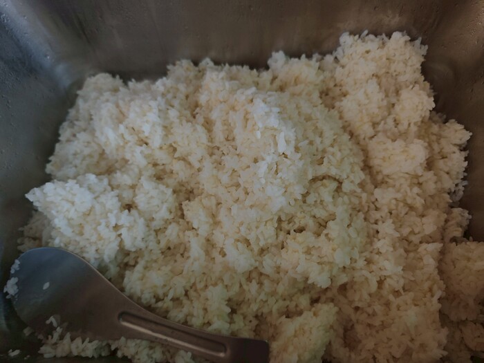 胚芽飯圖片