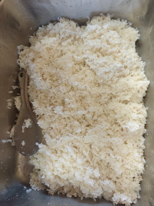 薏仁飯圖片
